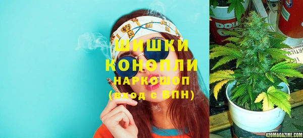 трава Арсеньев