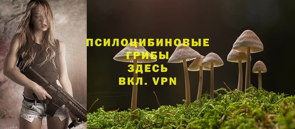 дурь Аркадак